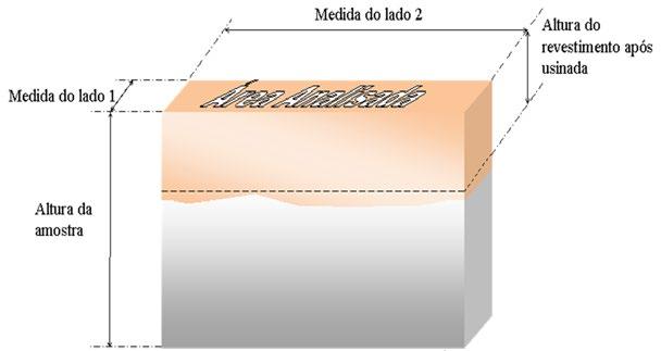 O eletrodo de referência utilizado foi prata cloreto de prata (Ag/AgCl) e todos os potenciais foram referidos a esse eletrodo.