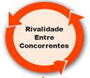 Análise Externa 5 Forças de Porter Crescimento lento da Indústria. Custos Fixos ou de Armazenamento Altos. Concorrentes: numerosos, ou de tamanho ou poder equivalente.