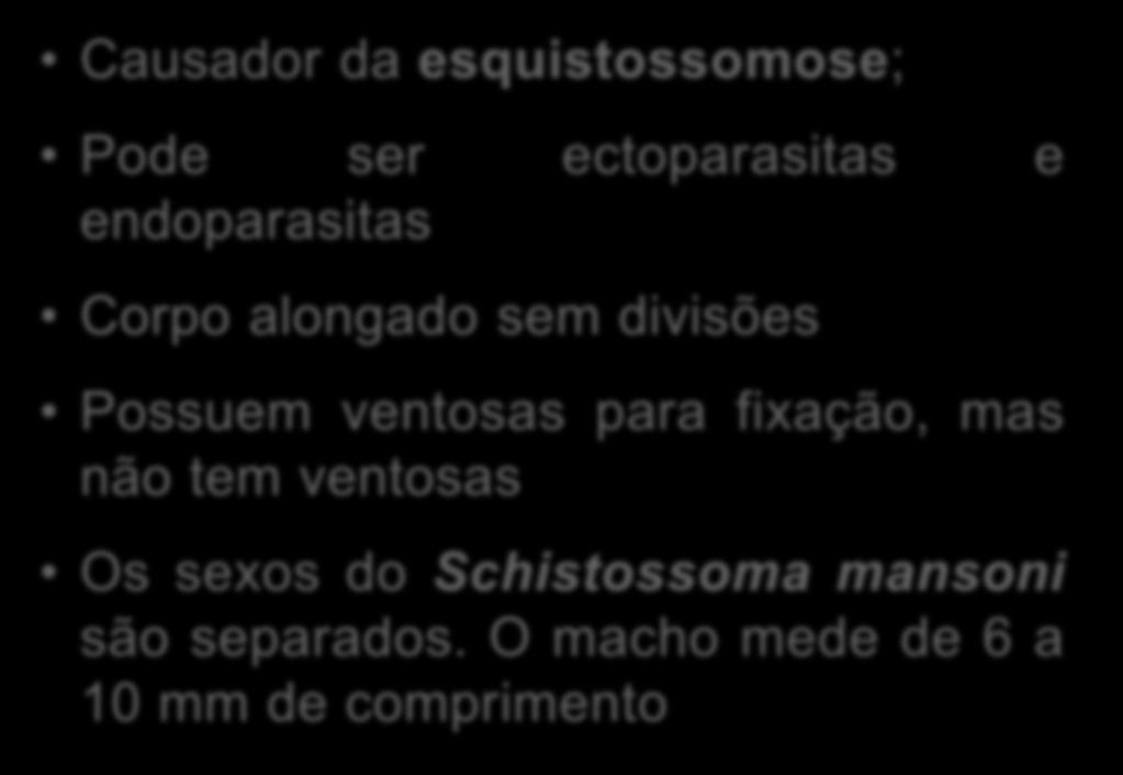 do Schistossoma mansoni são