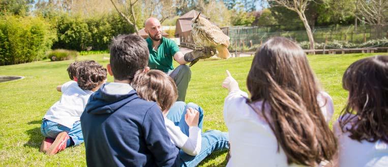 Programas Educativos 2 o Ciclo 5 o e 6 o ano O MUNDO DOS INSETOS ANIMAIS À LUPA Metas Curriculares: Conhecer bem de perto a maior classe de animais do mundo é o desafio desta visita.