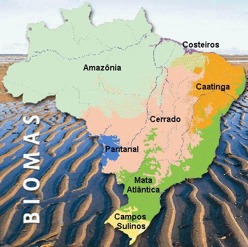 ESTADO DE SÃO PAULO: áreas endêmicas de 1995 a 2004 A.