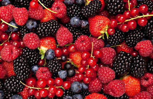 A Organização Mundial da Saúde enfatiza a importância da atividade antioxidante dos compostos fenólicos, especialmente aqueles oriundos das frutas pequenas e coloridas, para a prevenção dos problemas