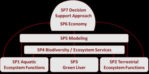 O projeto INNOVATE (INterplay among multiple uses of water reseroirs via innovatie coupling of substance cycles in Aquatic and Terrestrial Ecosystems Introduction) reúne várias áreas do conhecimento