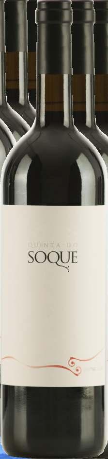 QUINTA DO SOQUE QUINTA DO SOQUE TINTO 2013 1805228317003001-750ml A vindima decorreu durante o mês de Setembro com condições ótimas de tempo seco e ameno, os cachos vindimados foram selecionados