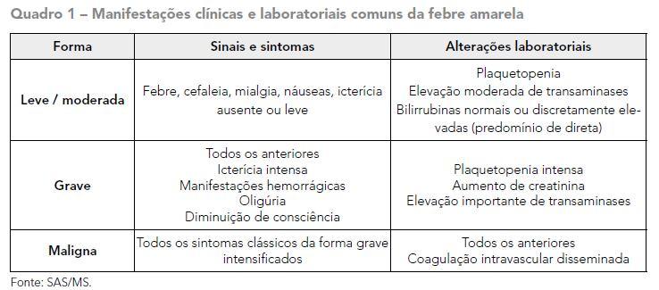 Febre Amarela Período de infecção: ± 3 dias