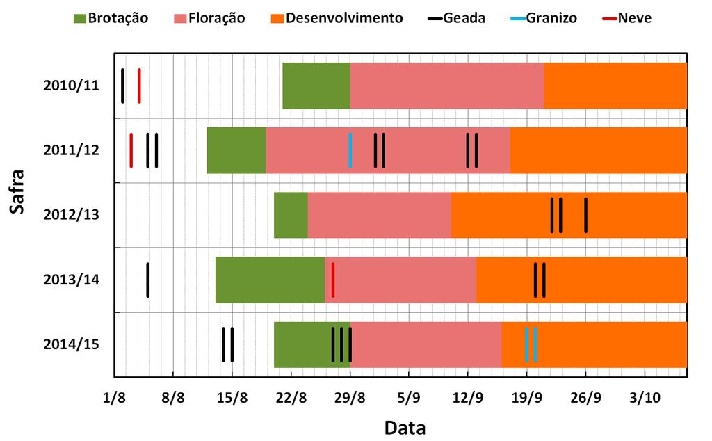 4 Avaliação Agronômica da ameixeira Leticia em Vacaria, RS (2011), as probabilidades de ocorrerem geadas em setembro e outubro em Vacaria são de 31% e 25%, respectivamente.