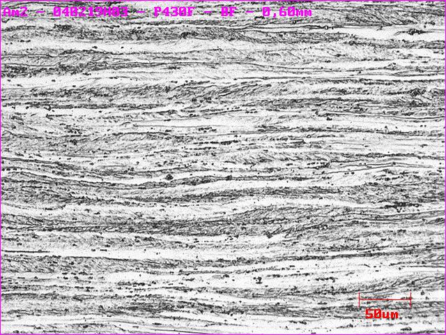 recozimento. As microestruturas das amostras recozidas a 700ºC e 750ºC apresentam grãos alongados característicos do estado deformado, mesmo após o recozimento.