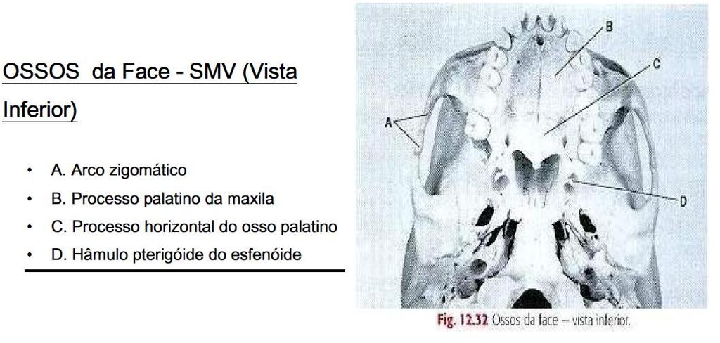 5 As radiografias odontológicas se