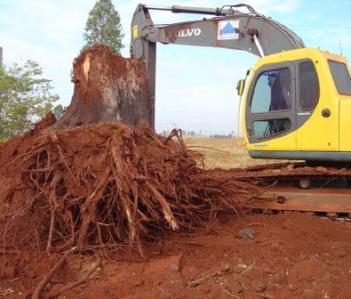 SERVIÇOS PRELIMINARES DESTOCAR LIMPEZA DO TERRENO Destocar Quando