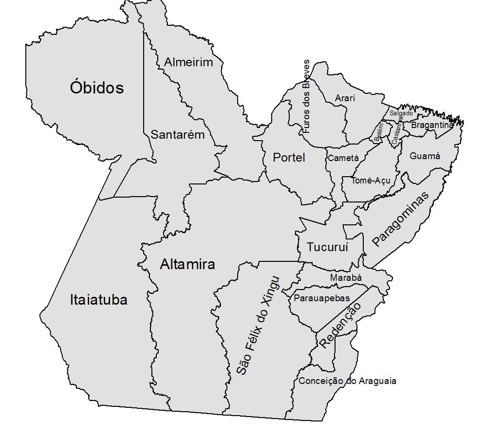 2 Figura 1 Divisão microrregional do Pará Fonte: Elaboração própria Tabela 1 Participação de cada microrregião no Produto Interno Bruto do estado do Pará, 2005 Microrregião Participação no PIB