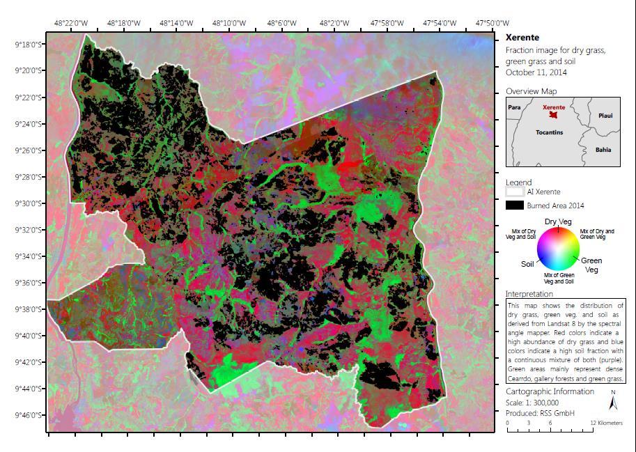 VALIDAÇÃO DO MAPA DE BIOMASSA Para validação, equipes seguem a campo nos locais previamente selecionados, comparando e validando as