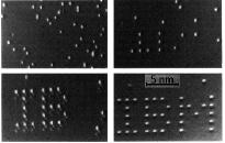 Litografia por Varredura de Sonda AFM,