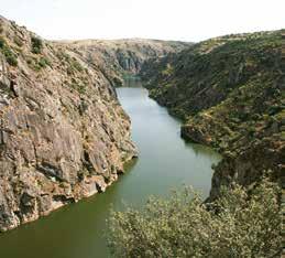 douro religioso guia