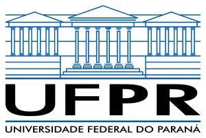 784 de 29 de janeiro de 1999, a qual regula o processo administrativo no âmbito da Administração Pública Federal; o Regimento Geral da Universidade Federal do Paraná; as normas internas do Programa
