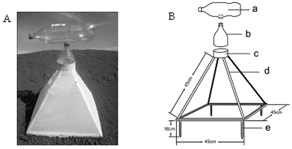 1304 Elaine C. Corrêa et al. TERMOS DE INDEXAÇÃO: Mosca-dos-estábulos, Stomoxys calcitrans, usina sucroalcooleira, explosão populacional. INTRODUÇÃO A mosca-dos-estábulos, Stomoxys calcitrans (L.