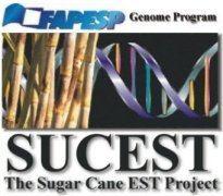 Sugarcane EST Project) Mais de 260.