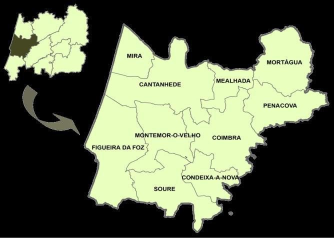 Os Perfis Locais de Saúde foram desenvolvidos no âmbito dos Observatórios Regionais de Saúde dos Departamentos de Saúde Pública das cinco Administrações Regionais de Saúde de Portugal Continental,