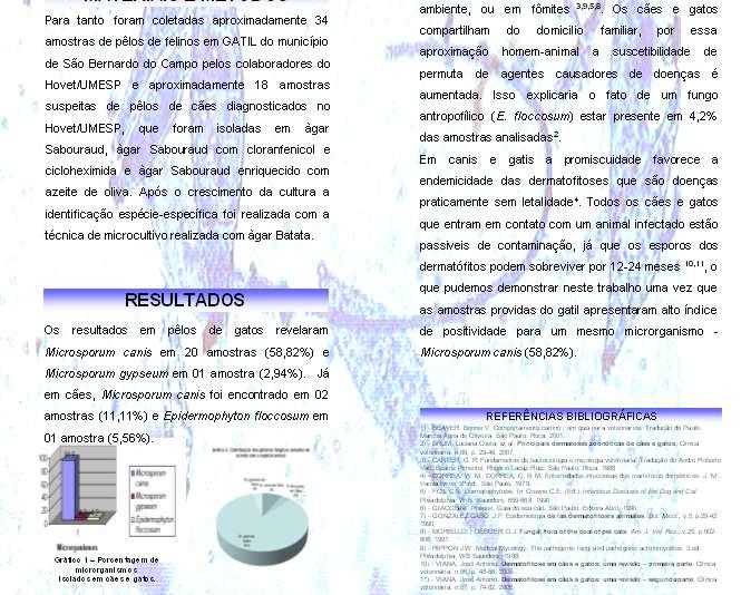 Devem ser utilizadas para compor o projeto as normas de citação;