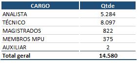 Distribuição de participantes por sexo e grupo de idade* 1.4. Distribuição de participantes por Cargos e Categoria Tabela 2.