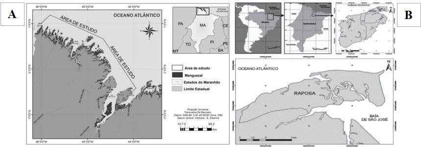 OBJETIVOS Geral Estimar a relação peso-comprimento e a estrutura populacional do peixe prata (Diapterus rhombeus), integrante da fauna acompanhante da frota serreira desembarcada no município de