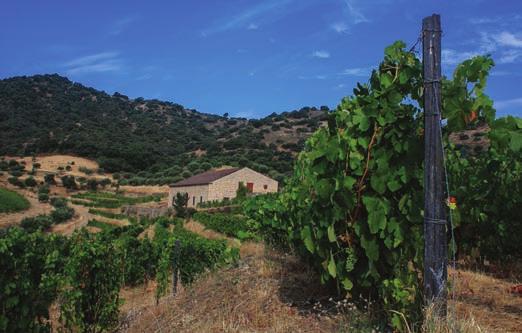 separadas e os diferentes estilos que resultam da variedade geológica dos seus solos. A Quinta privilegia a combinação do método tradicional de vinificação em lagares com as modernas tecnologias.