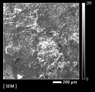 100 µm Figura 1 Imagem (MEV) da superfície enriquecida de Ti-6Al-4V usinada pelo processo EDM Figura 2 Mapeamento elementar por EDS da superfície de Ti-6Al-4V usinada pelo processo EDM