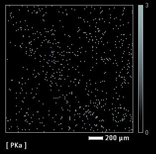 A análise elementar do ponto 1 (Fig. 4a) revelou que a composição química desses cristais é em sua maioria cálcio, fósforo e oxigênio, portanto, fosfato de cálcio.