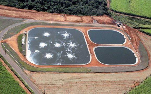 /Terminação = 1400 Porcas Gestantes = 200 Lactação + leitões = 100 Cachaços = 12 Leitões na creche = 1500 Ton/dia? 5 1.