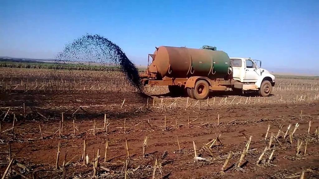 7. Produto: Biofertilizante Biofertilizante: Produto resultante da fermentação da matéria orgânica na ausência total de oxigênio. 7.