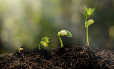 Adaptado). VOLATILIZAÇÃO 34% DEJETOS SOLO 32% LIXIVIAÇÃO PLANTAS 11 1.