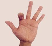Exercício 2: Dobrar os dedos Começar este exercício com a mão aberta. Dobrar o polegar para a palma da mão. Manter esta posição por dois segundos. Endireitar o polegar novamente.
