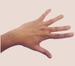 Exercício 5: Elevação dos dedos Começar este exercício com a palma da mão aberta sobre uma superfície.