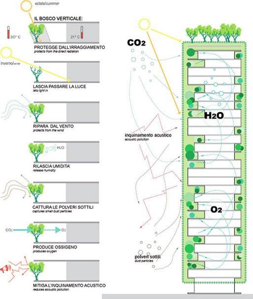 C O B R T U R A S A J A R D I N A D A S J A R D I N S V R T I C A I S FLORSTA VRTICAL 800 árvores Absorve CO2 Purifica o ar Protege da radiação so ar Produz humidade e oxigé io
