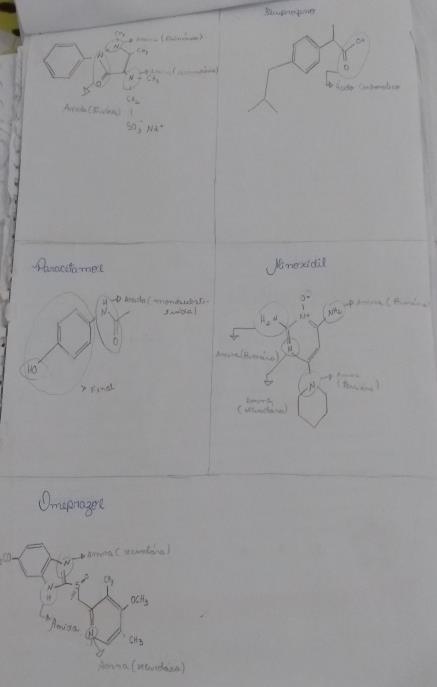 Primeiramente, os discentes foram organizados em duplas e/ou trios, levaram às bulas dos medicamentos e as estruturas dos compostos para análise foram escolhidas e uma droga ilícita foi sugerida pela