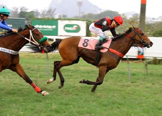 Borges 13-4-3-4 2-Middle Fast, f, 4, Crimson Tide (Ire) e Pour Rafaela, por Vettori (Ire) P-Francisco de Paula Elias Filho C-Jéssica T-C.