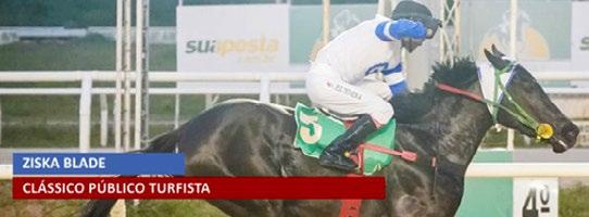 Costa - 6-4-0-0 2-Fort Fortune, m, 3, Benny The Bull e Rubyville, por Put It Back P-José Veccchio Filho e Ivan Skroski C-Golf Stables T-E.