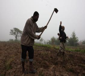 Nome do Projecto: Pequenos Produtores e Grupos Marginalizados Unidos para Aumentar a Segurança Financeira, Segurança Alimentar e Melhorar a Vida na Província de Sofala Cliente/Financiador: