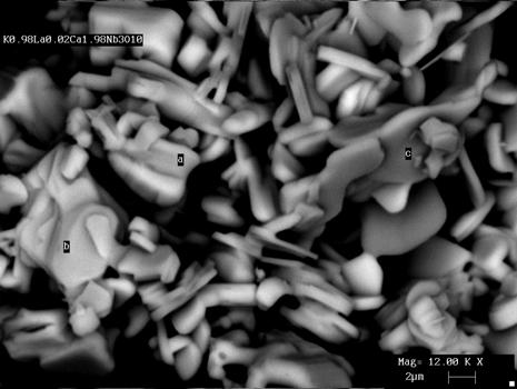 Tese de Doutorado Capítulo V Propriedades Luminescentes dos Niobatos Lamelares 196 A Figura 96 mostra as micrografias registradas por MEV das perovskitas lamelares dopadas com Eu 3+ e La 3+.