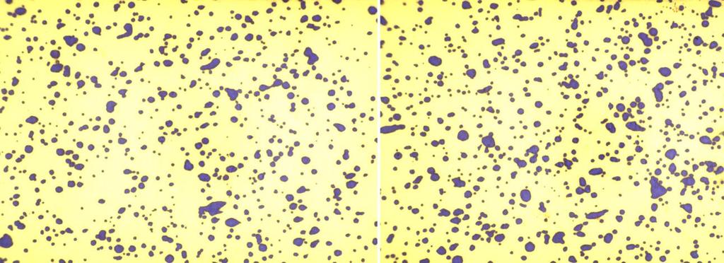 promoveu uma densidade de gotas de 187,89 N/cm 2 e a um DMV (diâmetro mediano volumétrico) de 272,83 µm, obtendo gotas entre 200 e 300 µm, independente do volume e horário aplicado, a utilização do