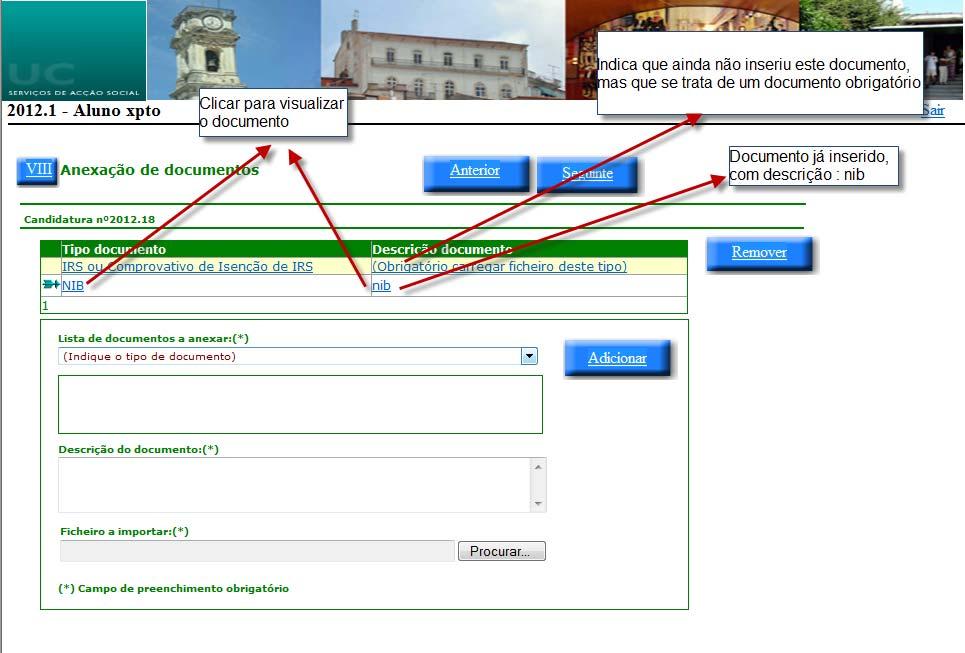 Preenchimento Quadro VIII Neste quadro o aluno deve ter em mente que os documentos a anexar devem ser os considerados implicitamente como obrigatórios e os que devido a condições impostas em quadros