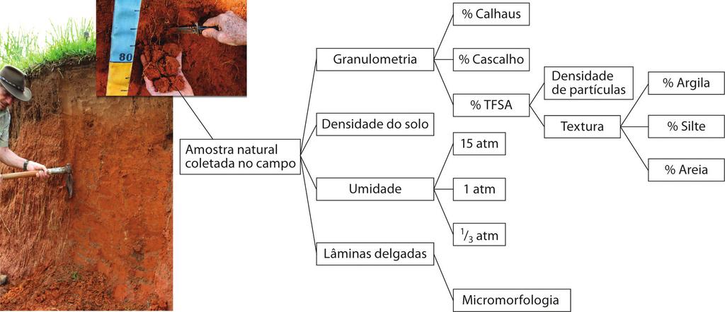 Fig. 6.3 Esquema da amostragem e preparo de amostras de solo para várias determinações físicas.