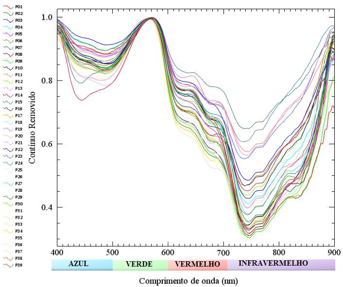 Figura 8 - Reflectância bidirecional nas bandas de 400 nm a 900 nm; A- plotados na