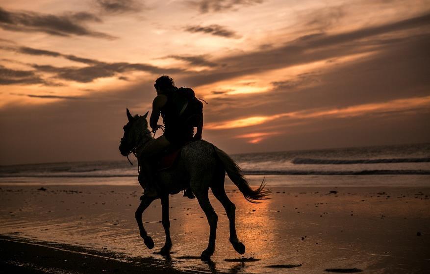 a cavalo, caminhadas, mergulho em lagoas de águas cristalinas e muito mais.