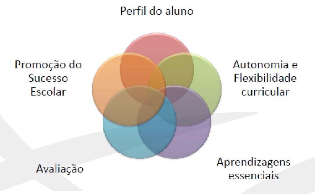 Educação Inclusiva: