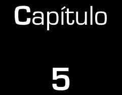 Anexos Capítulo 5 5 ANEXOS As equações a seguir mostram como foram feitos os cálculos para a obtenção dos valores aproximados de glicose potencial.