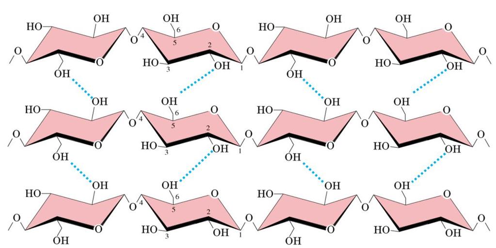 Revisão Bibliográfica ligações hidrogênio intramoleculares supracitadas (Figura 4) e, de forma igualmente importante, das ligações hidrogênio intermoleculares (Figura 5).