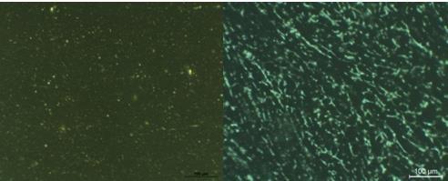 Microscopia de fluorescência dos betumes com 10% de óleo de motor usado e 5% de SBS produzidos com (a) procedimento 1 e (b) procedimento 2.