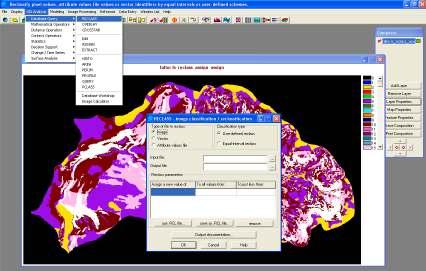 reclassificados através do comando GIS Analysis -