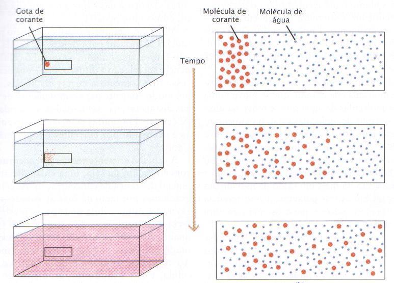 DIFUSÃO ABSORÇÃO DE