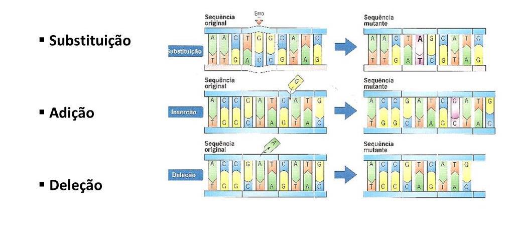 Alterações no DNA e as